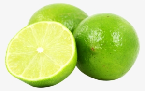 Hortilisto - Nombre Cientifico Del Limon Sutil #971251