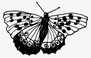 File Format File Size Free Download Butterfly Drawing - Drawing #971449