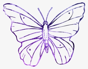 Tags - - Transparent Background Butterfly Flower Line Art #971583