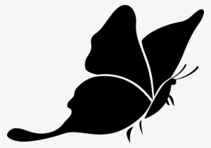 Download Butterfly Silhouette Png Transparent Butterfly Silhouette Png Image Free Download Pngkey