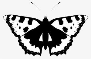 Black White Butterfly Silhouette - Minimalist Butterfly #971635