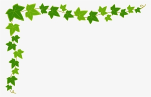 季節の花 5月 イラスト 無料 Bing - つた イラスト #971804