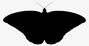 Medium Image - Butterfly Silhouette #971828