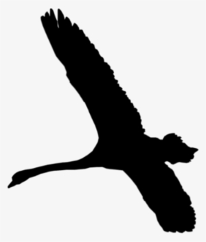 Flying Butterfly Silhouette Clip Art Images & Pictures - Swan Flying Silhouette Png #972131