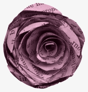 67j58picucx 1024 X Oss Process=image/quality,q 80/watermark - Garden Roses #972409