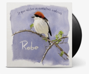 Lo Que Aletea En Nuestras Cabezas #972733