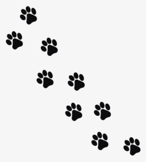 Track 2 - Huellas De Gato Png #973048