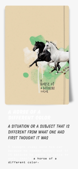 Thank You For Watching - Stallion #973938