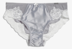 Kappahl Xlnt Brief - Anastasia Steele Panties #974190