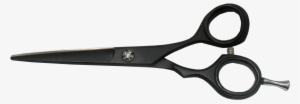 Product #974236