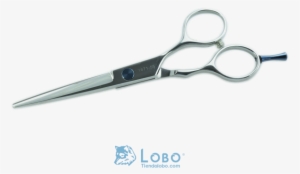 Tijera Estilista Aqua Filo Navaja Ajustable Con Aceite - Scissors #974454