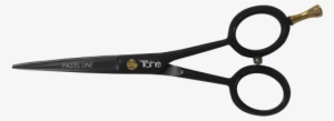 Scissors #974496