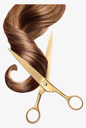 Abarca Toda La Información Básica Sobre El Conocimiento - Tijeras Cortando Pelo Png #974907