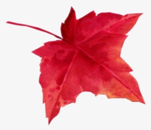 Autumn Leaves - Лист Клена Осень #975328