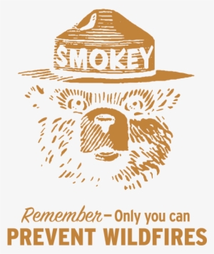 Smokey The Bear Is On His Watch - Semana Da Pessoa Com Deficiencia #975632