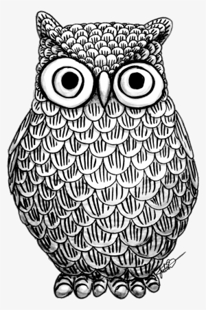 Owl Design - Owl Black And White Png #976037