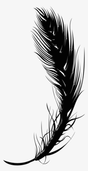 Black Feather Pen Png #976061