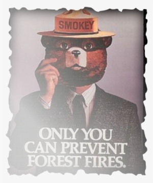 Smokey Bear - Smokey Mask - Vintage Poster (8x12 Acrylic #976063