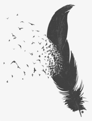 Tumblr Transparent Flying Feather White Pictures Png - Feather Transparent #976122