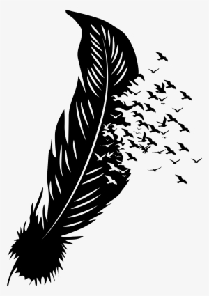 Feathers - Feather #976164