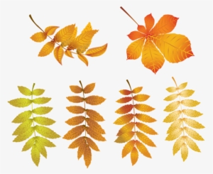 Falling Leaves Png #976259