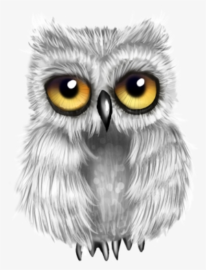 Image Du Blog Zezete2 - Owl #976260