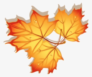 0, - Autumn Leave Clipart #976285