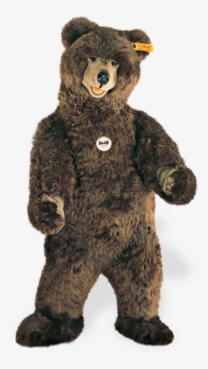 Steiff Bear - Steiff Studio Bear Ean 500558 #976422