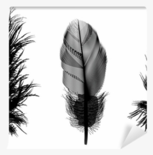 Three Black Feathers Illustration Wall Mural • Pixers® - Czarne Pióro #976658