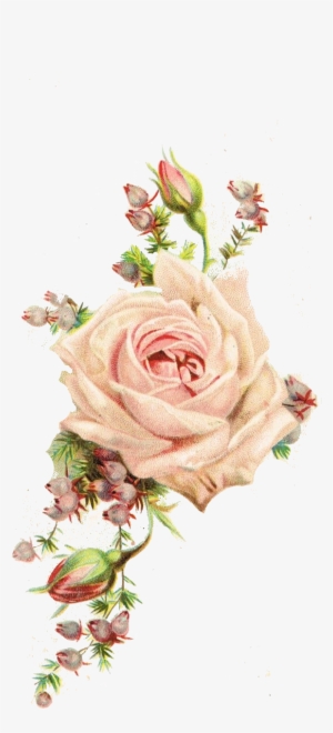 Roses, Vintage Printable - Vintage Flowers #977311
