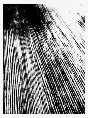 Black Texture Png Transparent Black Texture Png Image Free Download Pngkey - transparent roblox wood texture