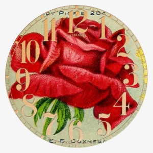 Antique Seed Catalog Reinvented - Paper #977696