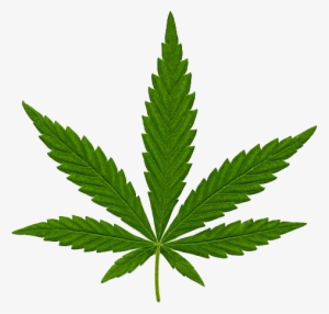 Cannabis Transparent Png Image - Cannabis .png #977806