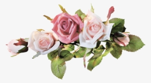 Vc Purity El45 - Galhos De Rosas Png #977958