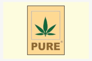 Pure Bags And Accessories - Fashion Accessory #978100