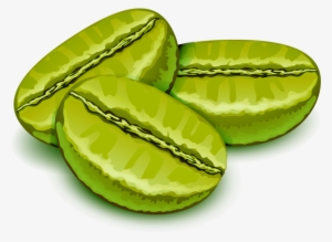 Green Coffee Beans Are Soaked In Hot Water To Open - Coffee #978198