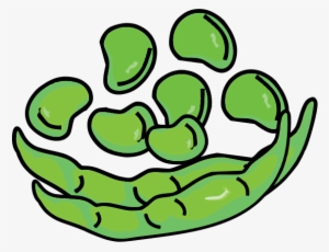 Broad Bean - Broad Bean Icon Png #978365