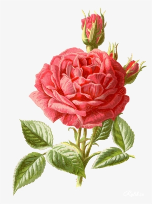 Pattern Cross Stitch Flower #978385