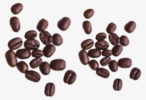 Coffee Beans Png Image - Scattered Coffee Beans Png #978434