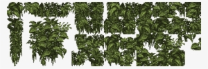 Vine Texture Png Graphic Free Library - Plant Texture Png Ivy #978738