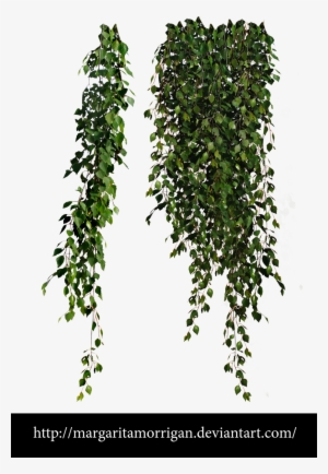 Birch Leaves By Margarita-morrigan - Cottingley Secret: A Novel #978777