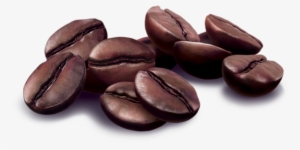 Creative Services - Transparrent Png Coffee Beans #978800