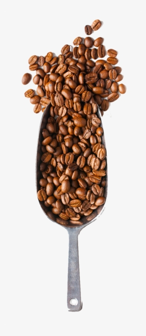 Coffee Time - Coffee Beans And Spoon Png #978909
