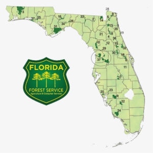 You Can Follow Florida Commissioner Adam Putnam On - National Forest Map Florida #979053