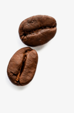 Beans - Bean #979128 Beans - Bean #979128