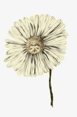 Brittany Is A Recent Graduate Of Maryland Institute - Artificial Flower #979172