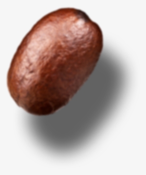 Single Coffee Bean Png Single Bean Png - Avocado #979287