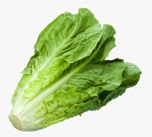 Romaine Lettuce Png - Lettuce Png #979854