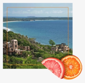 Frutti-kaa, Volviendo A Lo Natural - Sea #979893