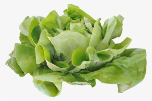 Jpg Free Stock Cabbage Romaine Computer File Pictures - Ensalada De Lechuga Png #979962